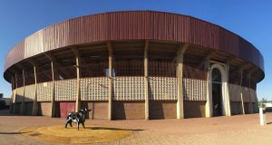 Escultura en la Plaza de Toros de Palencia